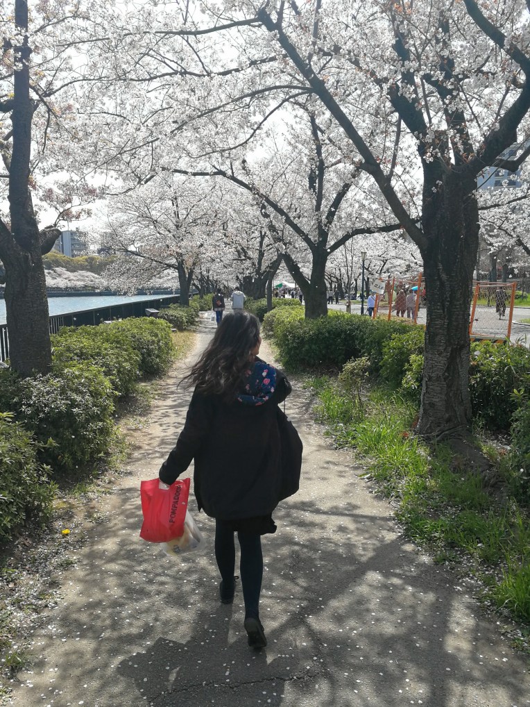 Hanami in Osaka Japan