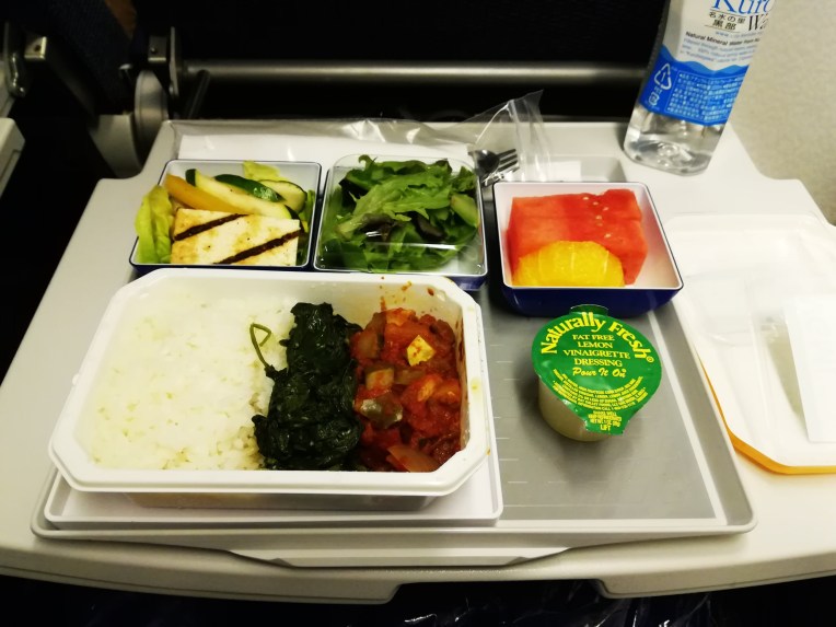 The All Nippon Airways Experience - Danielle Geva