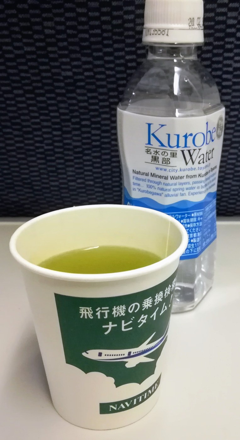 The All Nippon Airways Experience - Danielle Geva