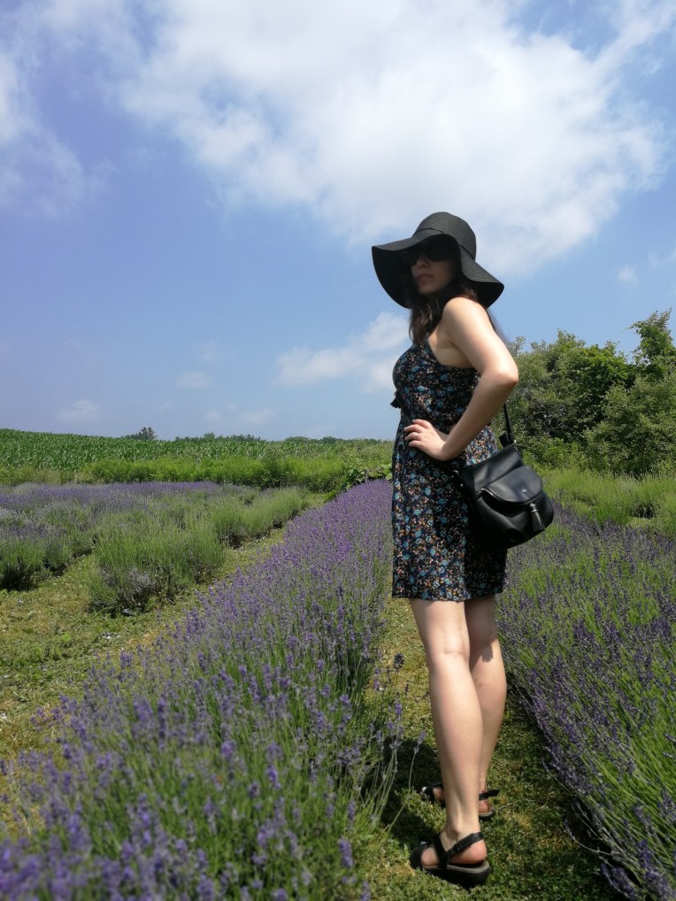 Visiting Weir's Lane Lavender & Apiary during a heat wave