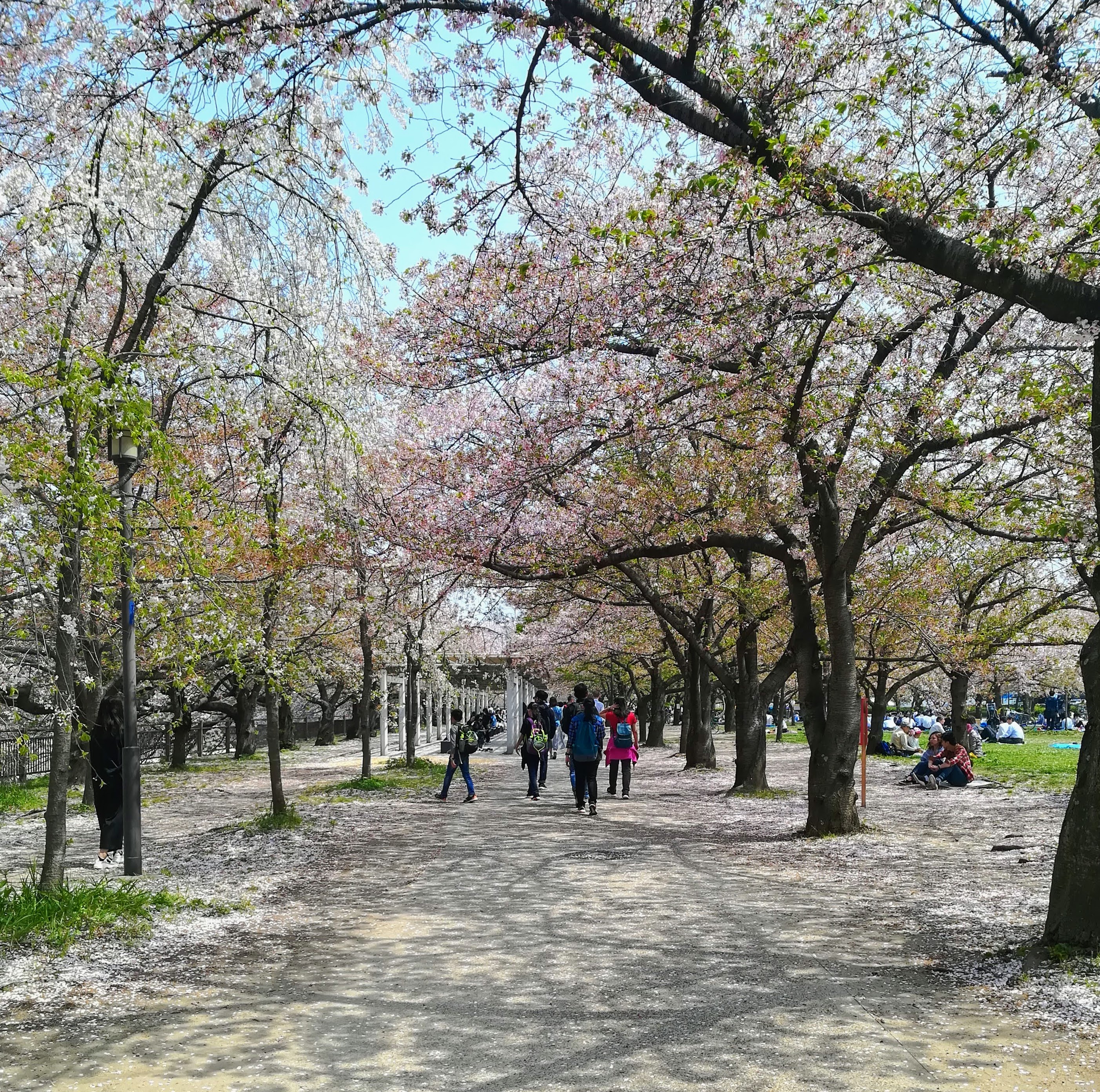 Kitsune Udon at Umeda Station